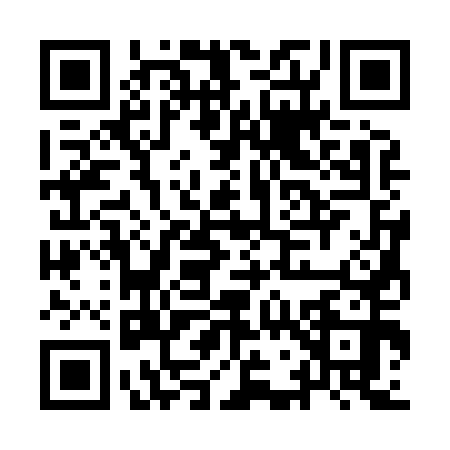 QR code for IG38509