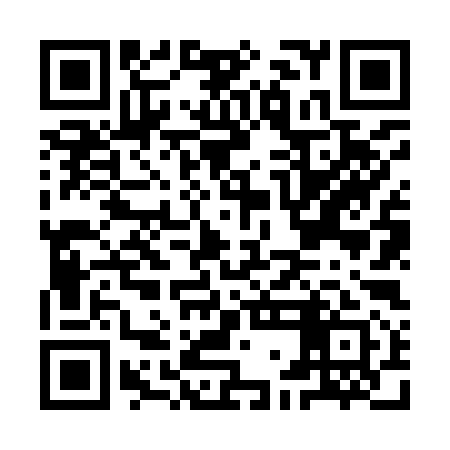 QR code for IGN991