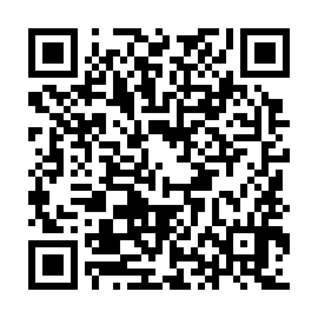 QR code for IHL394