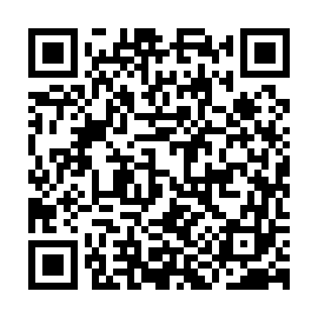 QR code for II9163