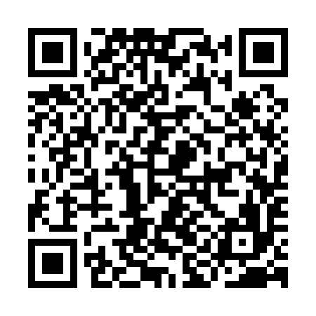 QR code for IIC196