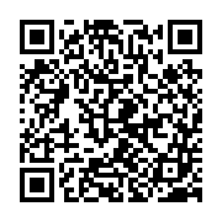 QR code for IIG243