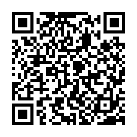 QR code for IIN233