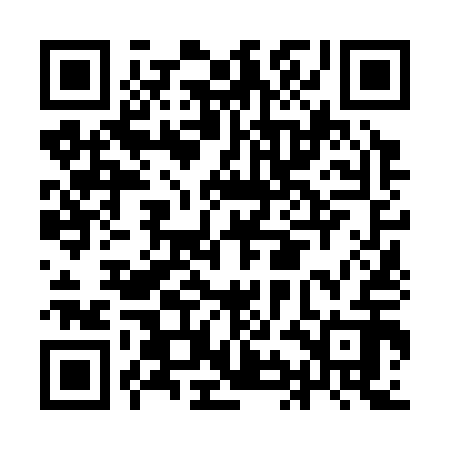 QR code for IIN312