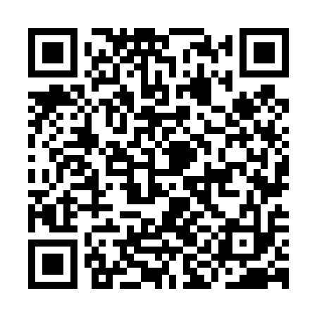 QR code for IIN413