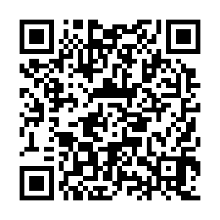 QR code for IIP310