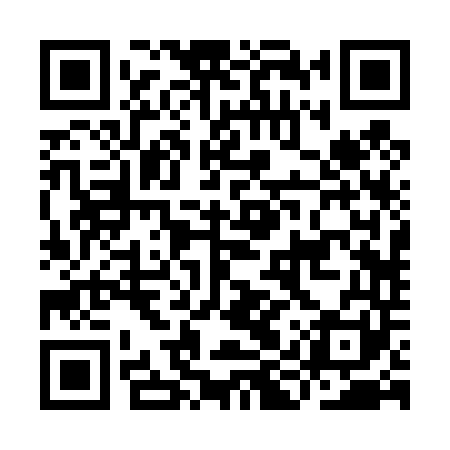 QR code for IIR441