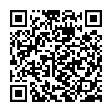 QR code for IIU538