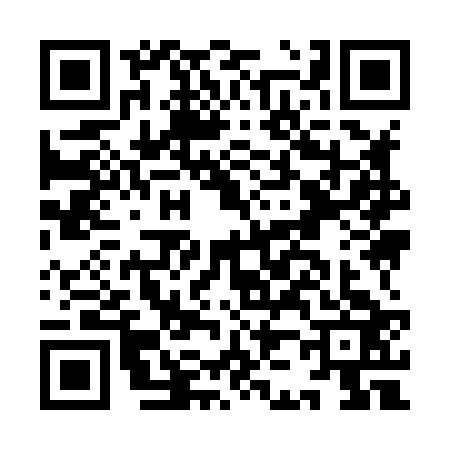 QR code for IJ98238