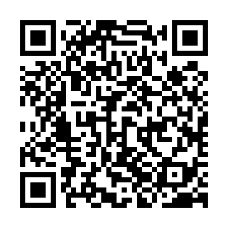 QR code for IJB539