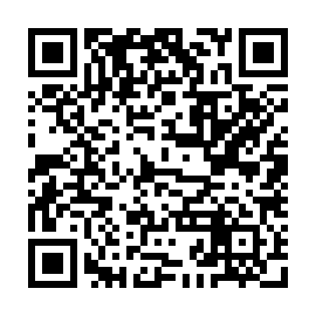 QR code for IJG381