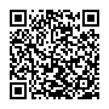 QR code for IJR220