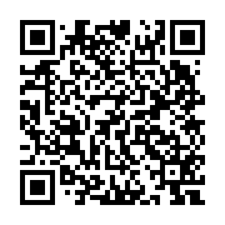 QR code for IJS655