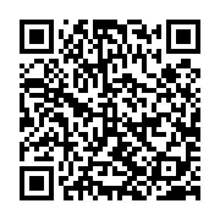 QR code for IJT599