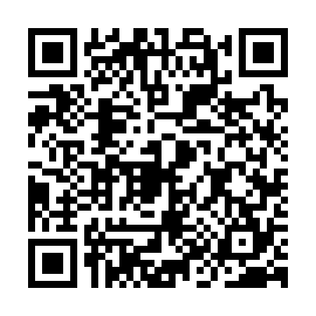 QR code for IK63741