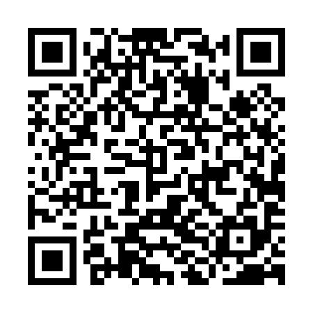 QR code for ILD095