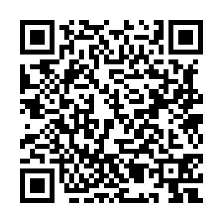 QR code for IM38301