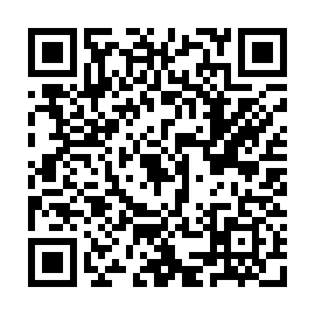 QR code for IM91397