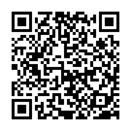 QR code for IN2319