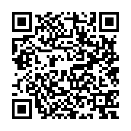 QR code for IN28307