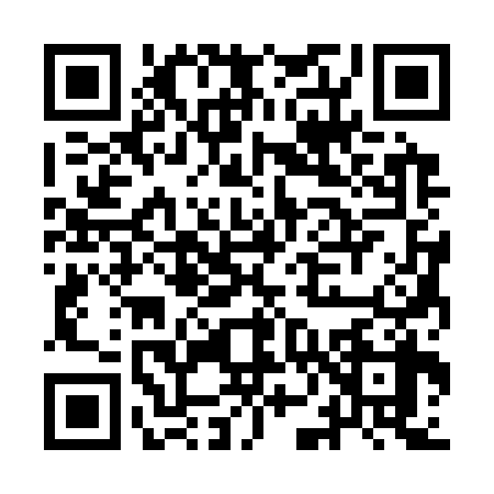 QR code for IN33389