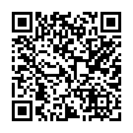 QR code for IN4299