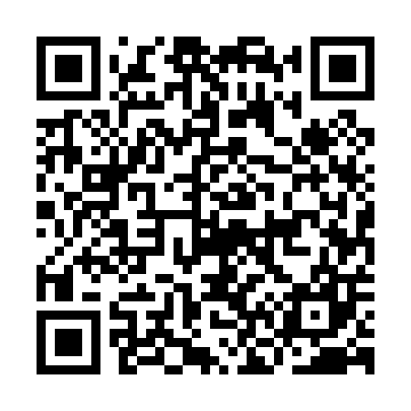 QR code for IN5007