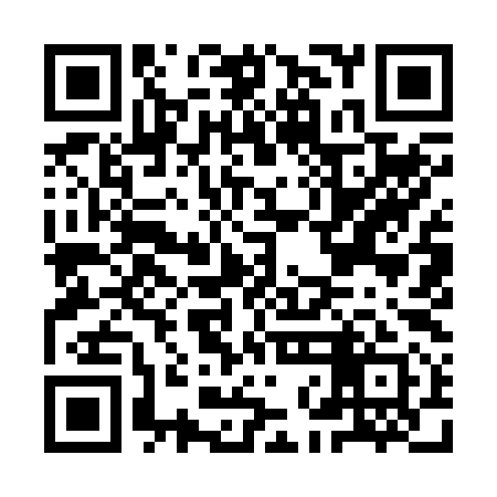 QR code for INI291