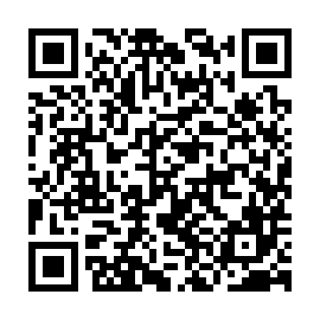 QR code for INI386