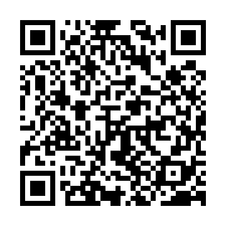 QR code for INI578