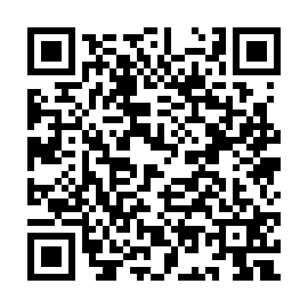 QR code for IO13211