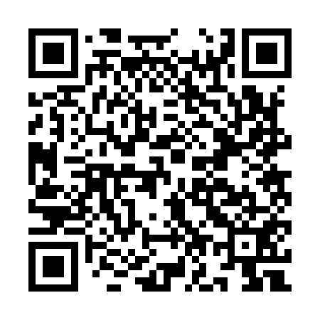 QR code for IO2951