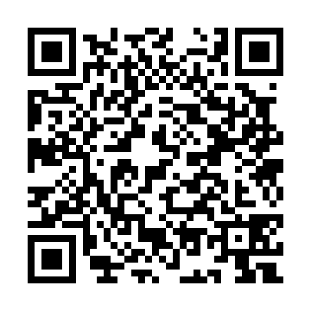 QR code for IO30386