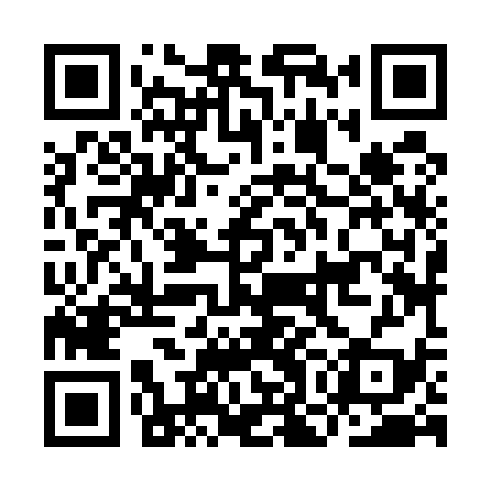 QR code for IOJ539