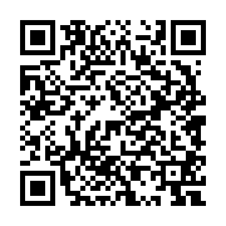 QR code for IP46002