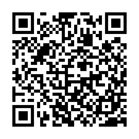 QR code for IP9507