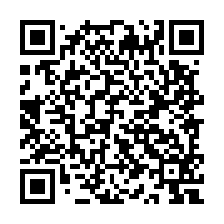 QR code for IQ8596