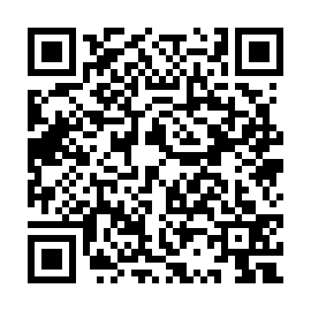 QR code for IR17332