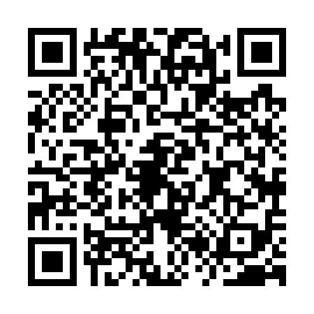 QR code for IR87199