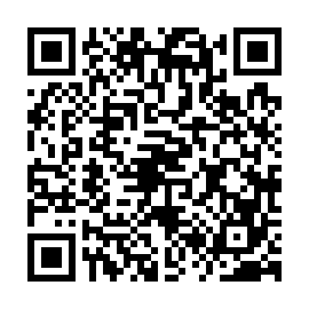 QR code for IR87668