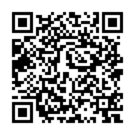 QR code for IR95106