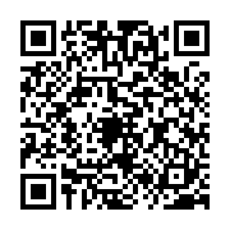 QR code for IR99238