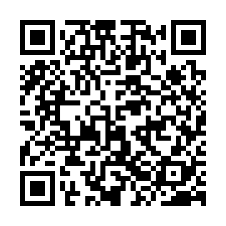 QR code for IRG328