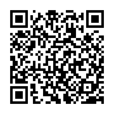QR code for IS1999