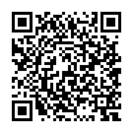 QR code for IS41529