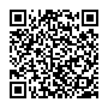 QR code for ISG739