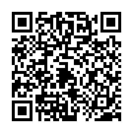 QR code for IT63339