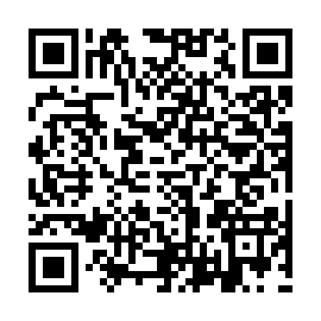 QR code for IV03171