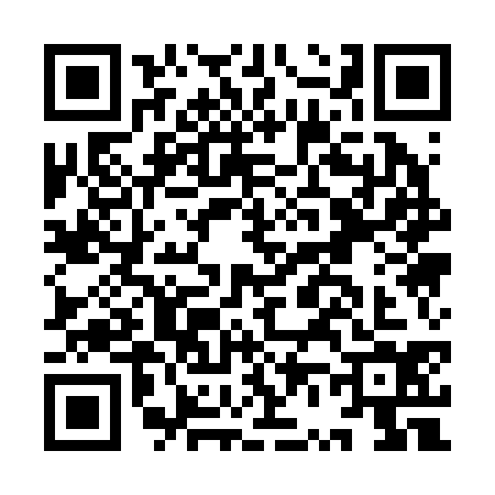 QR code for IV12347