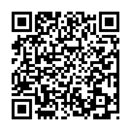 QR code for IV29730